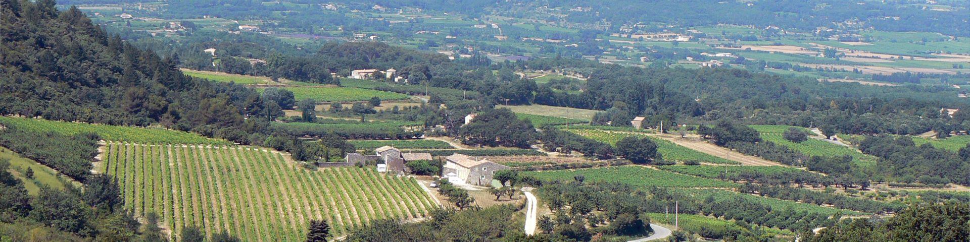 Terraterre au service des territoires, des hommes et des produits